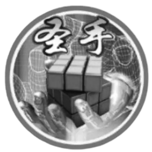 Marcas aliadas fabricantes de cubos de Rubik originales 3 - Cubiksolutions Tienda online de Speedcubing en Venezuela